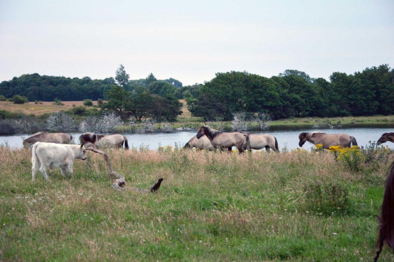 Kleine Ferienwohnung Gelting Exteriör bild